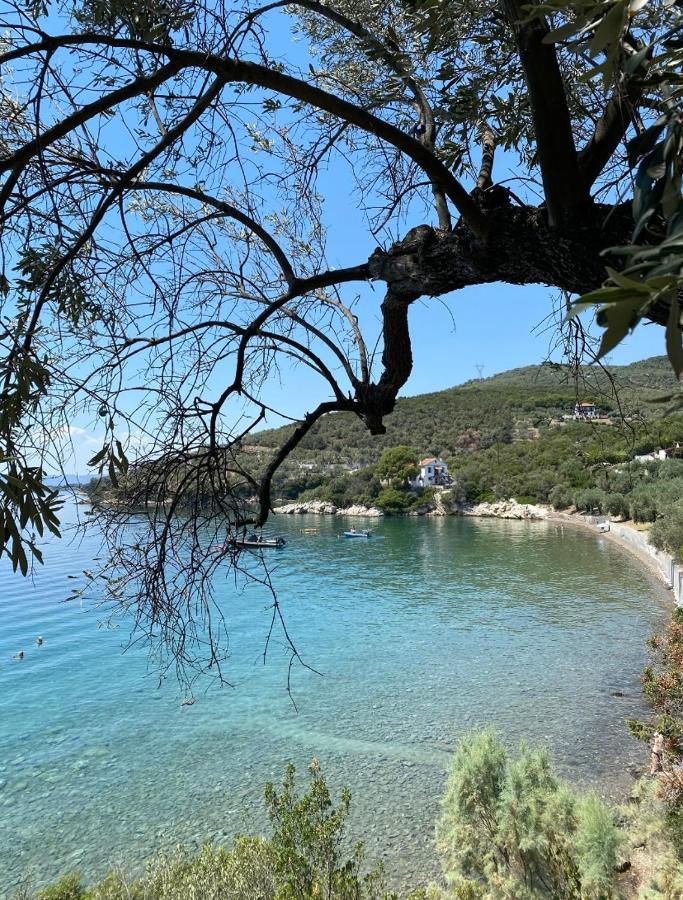 Sunset Of Pelion * Kato Gatzea